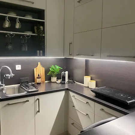 New Modern Prague, Free Parking, Gym Daire Prag